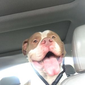 Meet your Posher, Jacob